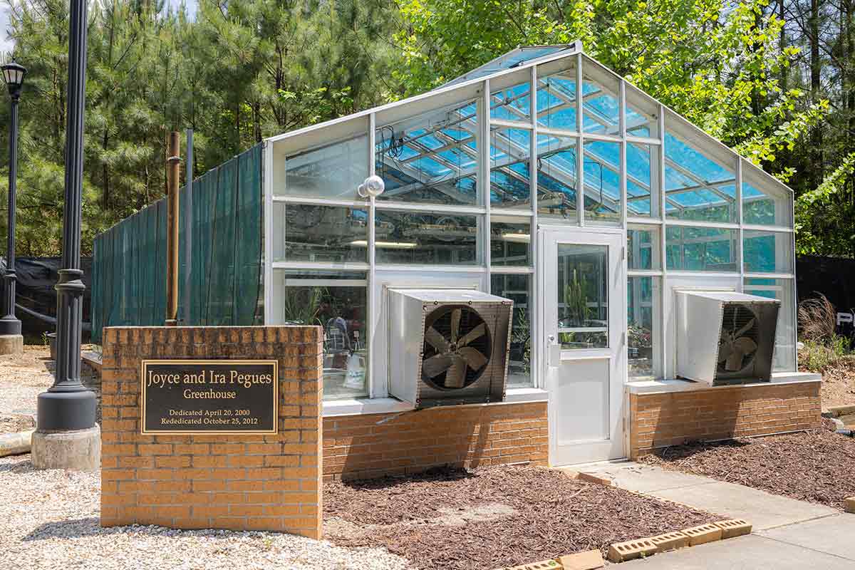 Greenhouse at Kennesaw State University, Kennesaw campus. / Greenhouse at Kennesaw State University, Kennesaw campus.