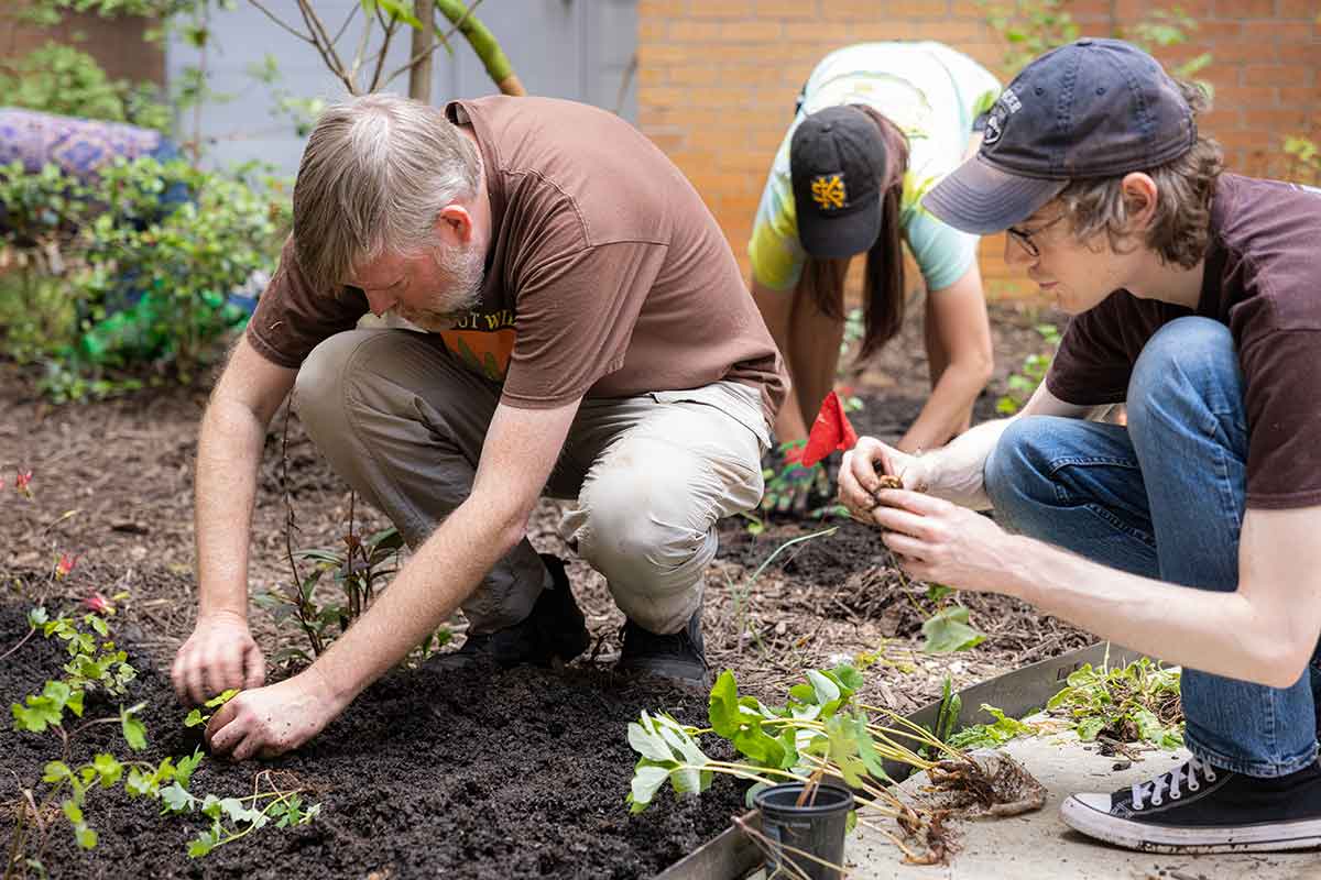 Dr. McNeal planting with students in the Oasis outdoor classroom at Kennesaw State University. / Dr. McNeal planting with students in the Oasis outdoor classroom at Kennesaw State University.