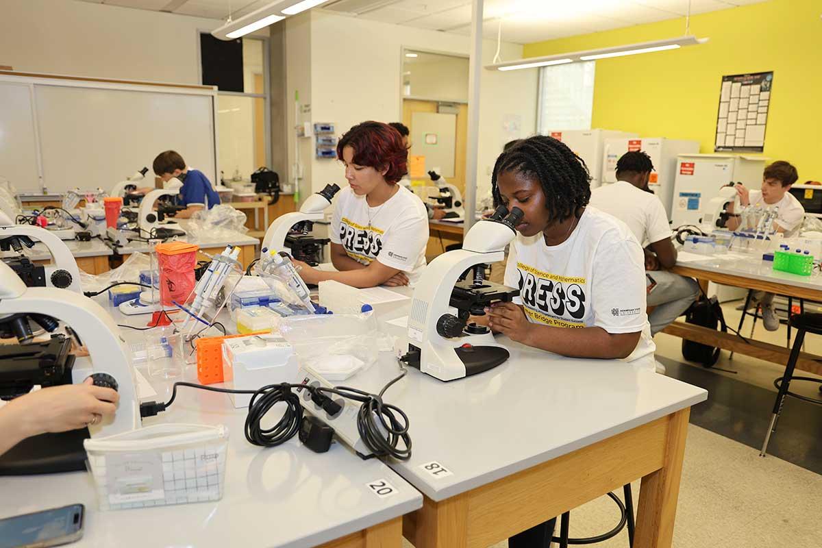 CSM PRESS program students using microscopes in a lab. / CSM PRESS program students using microscopes in a lab.