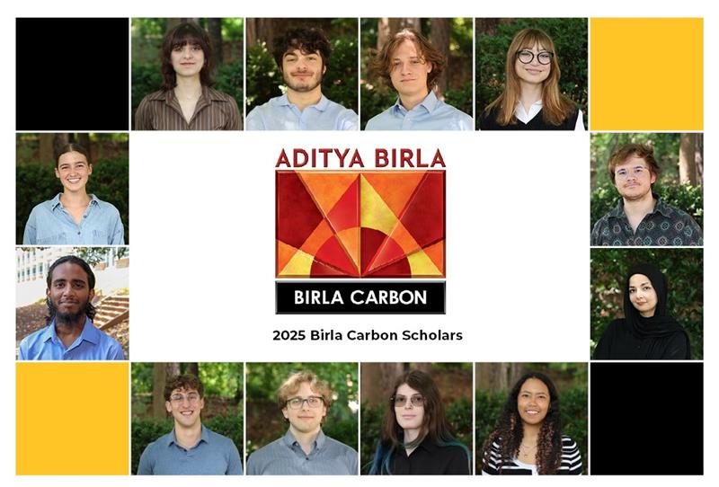 Birla Carbon Scholars 2025 research program recipients
