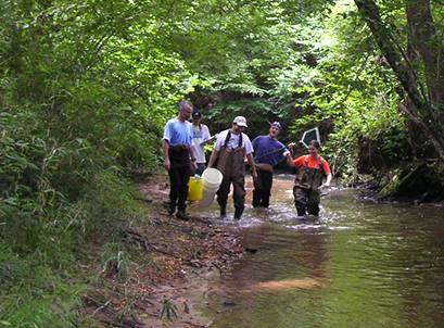 ksu Faculty and student group researching in stream