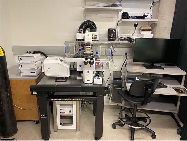 zeiss lsm 900 confocal microscope