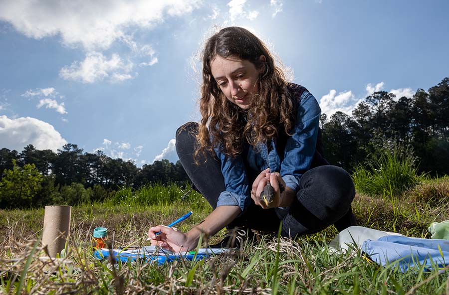 Faculty working on research at the Kennesaw State University Field Station