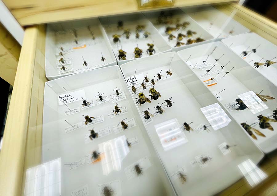 Mountains-to-Metro Specimen Collection