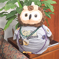 bubo