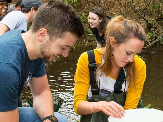 A group of students standing in a lake observing the water and taking notes