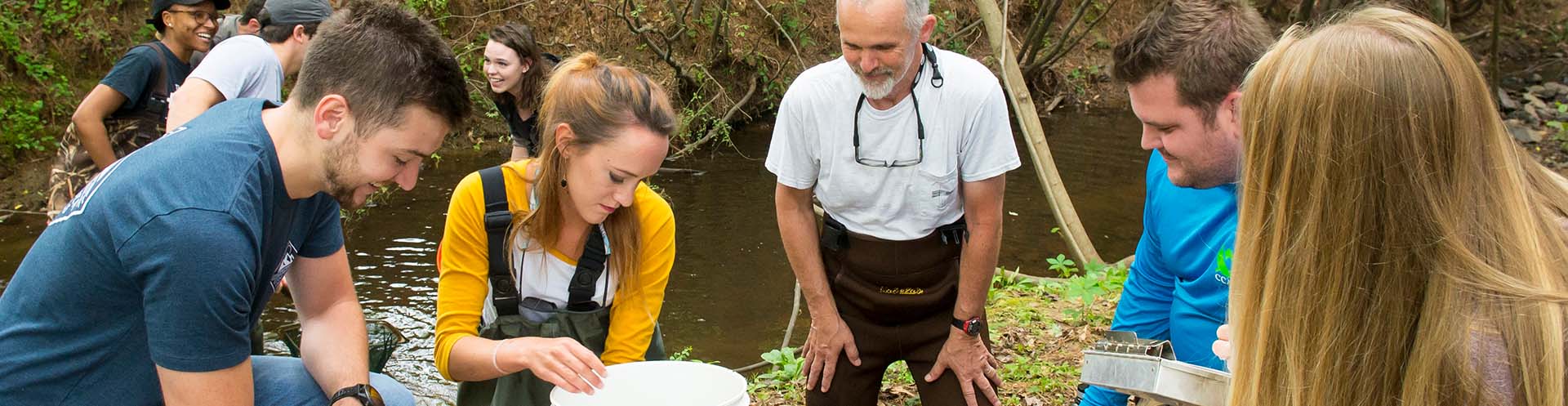 environmental science degree ksu