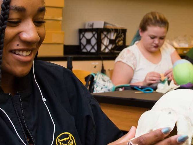 Two students focusing on bones