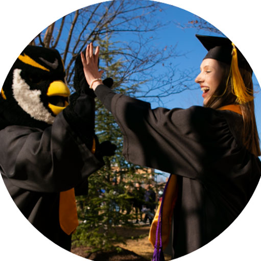 Bachelor of Fine Arts in Digital Animation - Kennesaw State University