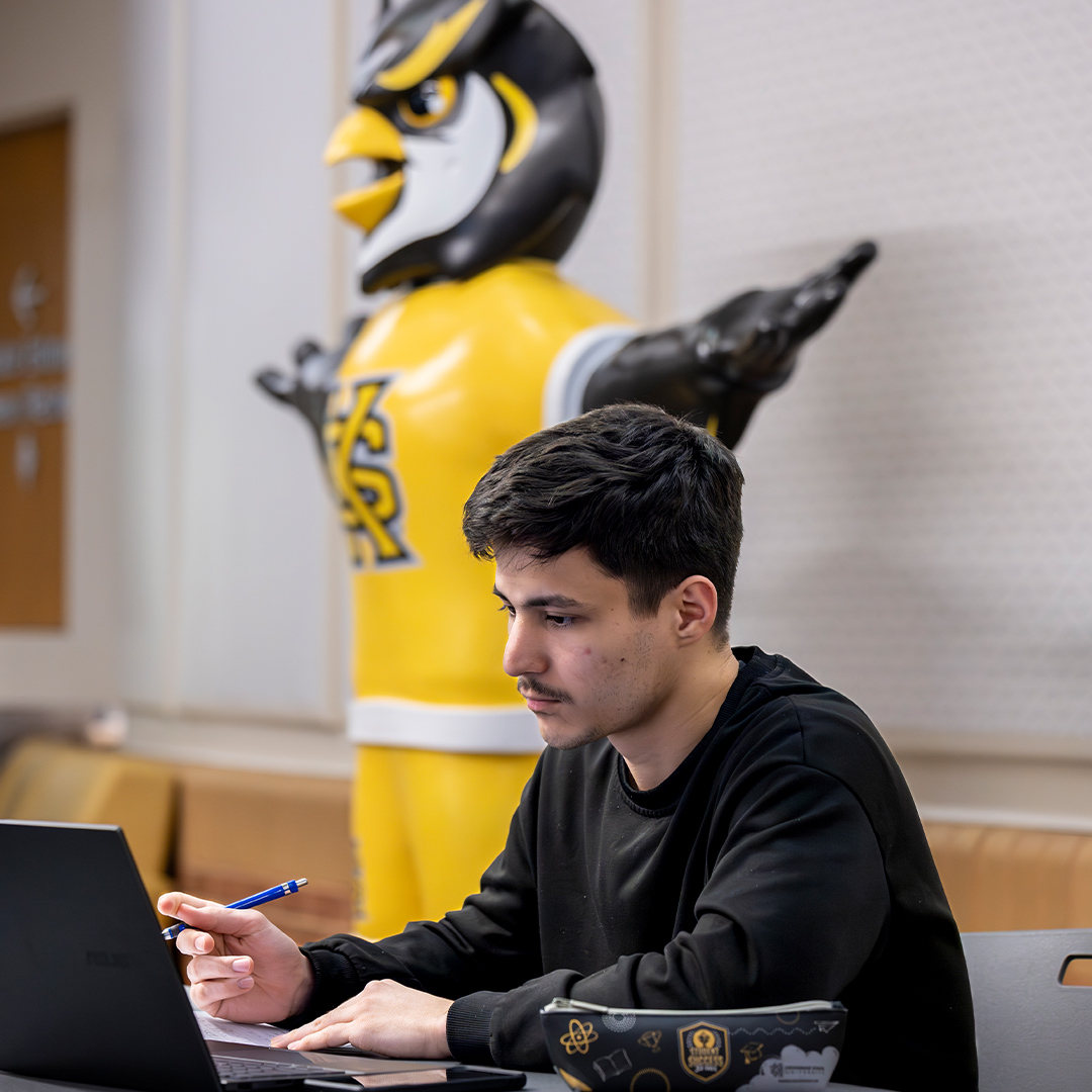ksu student sitting at tabe as he stares at his computer with the school mascot behind him