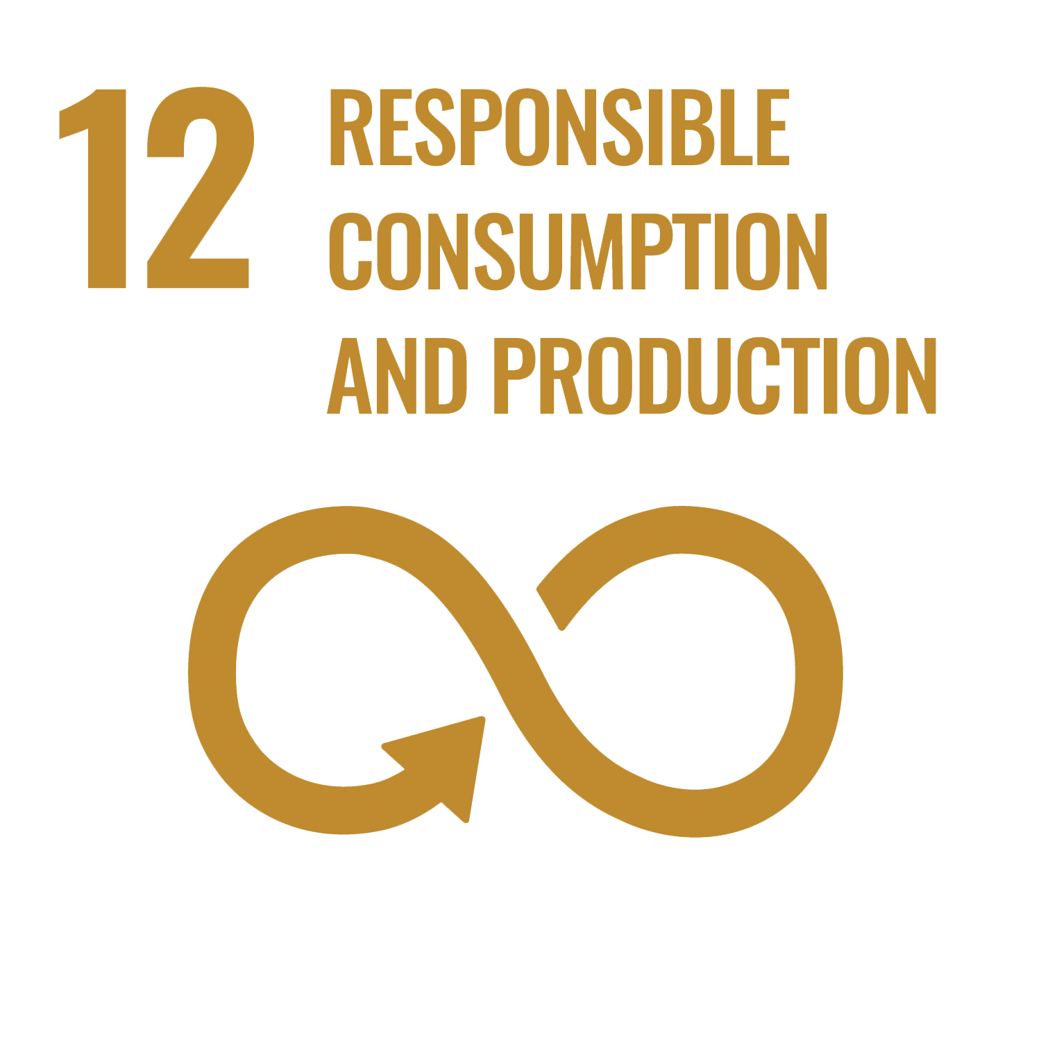 United Nations Goal #12 Responsible Consumption and Production