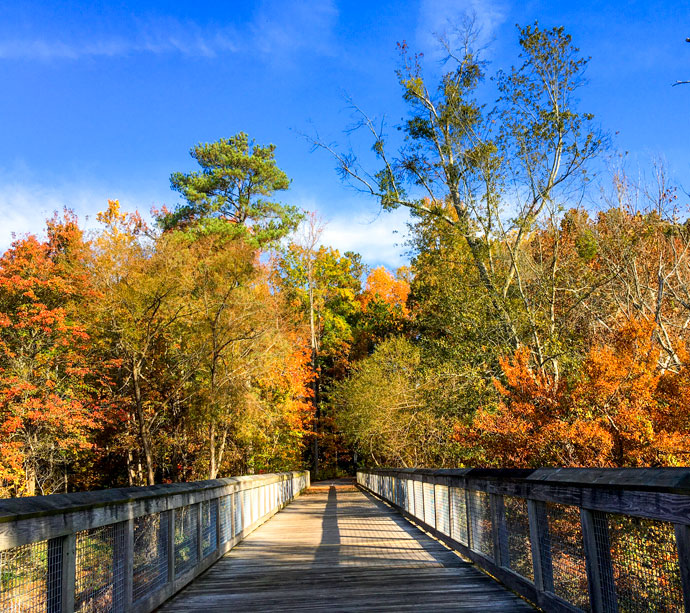 Kennesaw State University, Sports and Recreation Park; The Walking Trail.