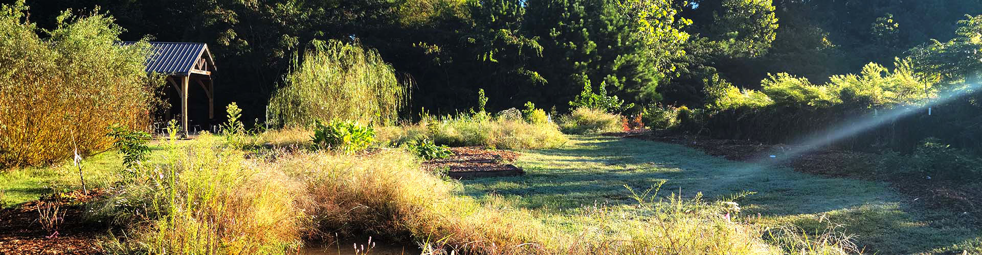 KSU's sustainable urban cultivation Food Forest