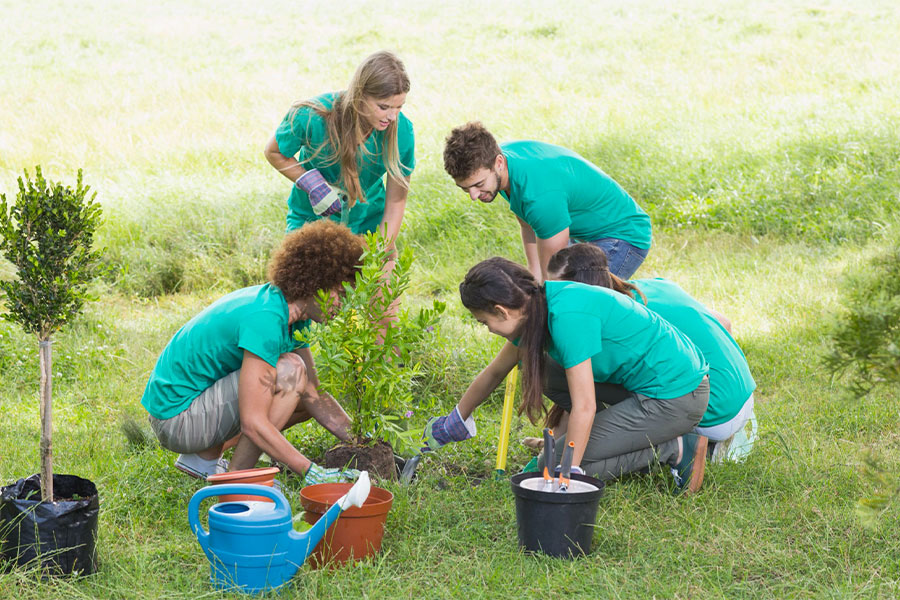 students tending to plants at the KSU food forest sustainable  garden