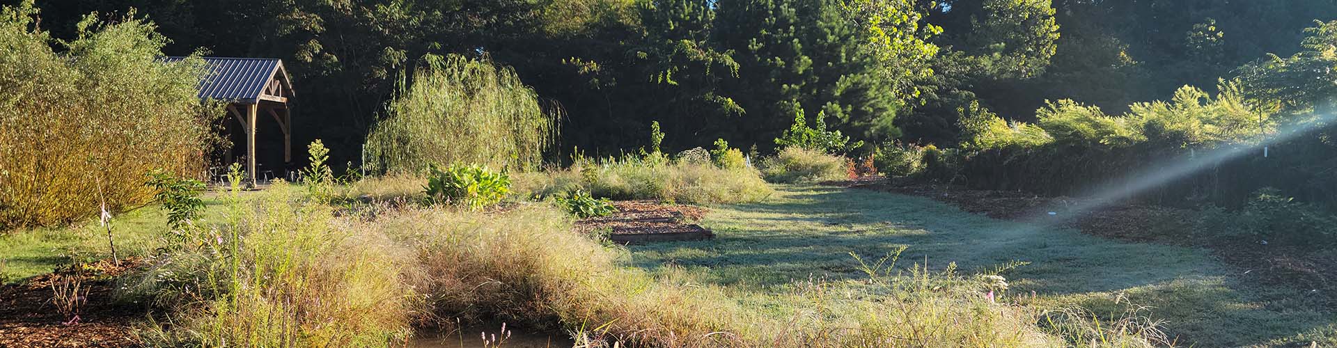 outside view of KSU's sustainable  garden,the food forest