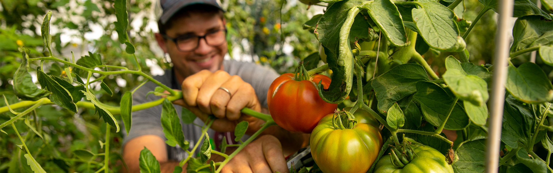 Student cutting tomatos