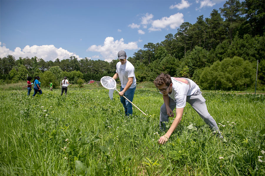 Volunteers tending to KSU's food forest sustainable  garden