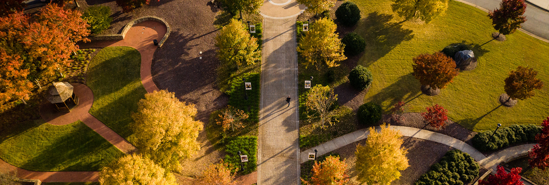 Fall foilage on Kennesaw Campus