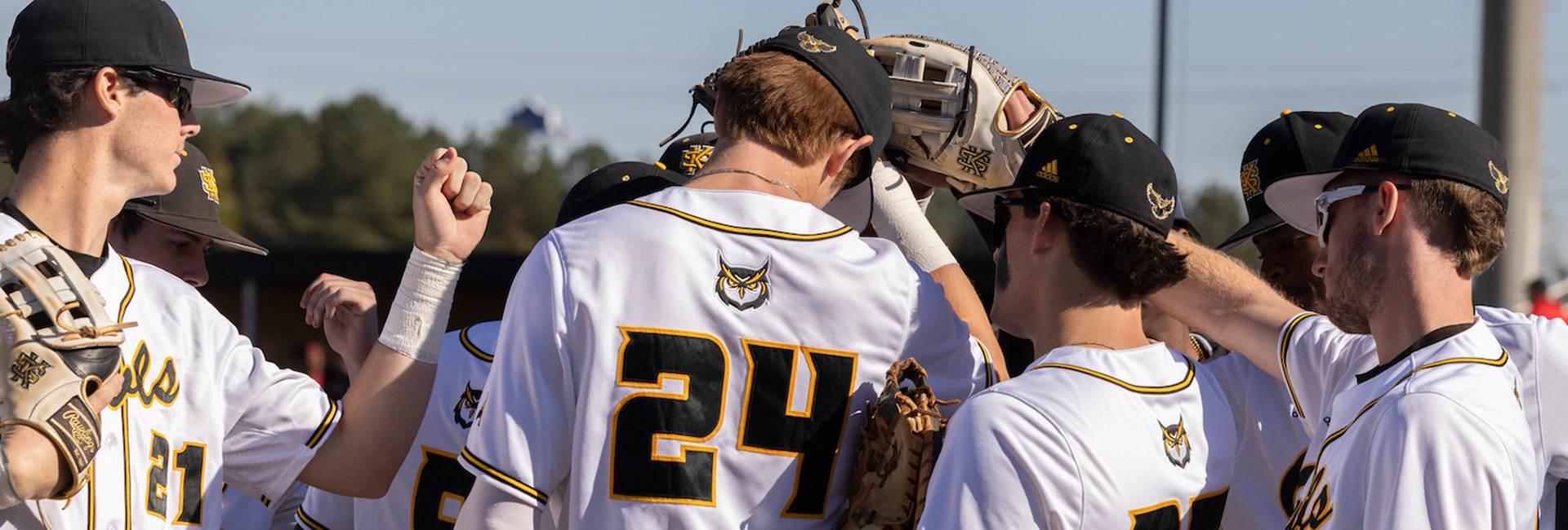 Kennesaw State baseball team