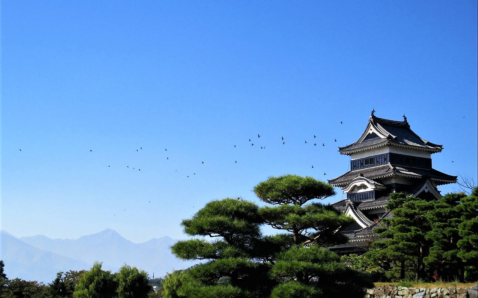 Category: Natural or Manmade Beauty - Third Place / Category: Natural or Manmade Beauty - Third Place "Matsumoto Castle"
Eloisa Gallegos
Japan