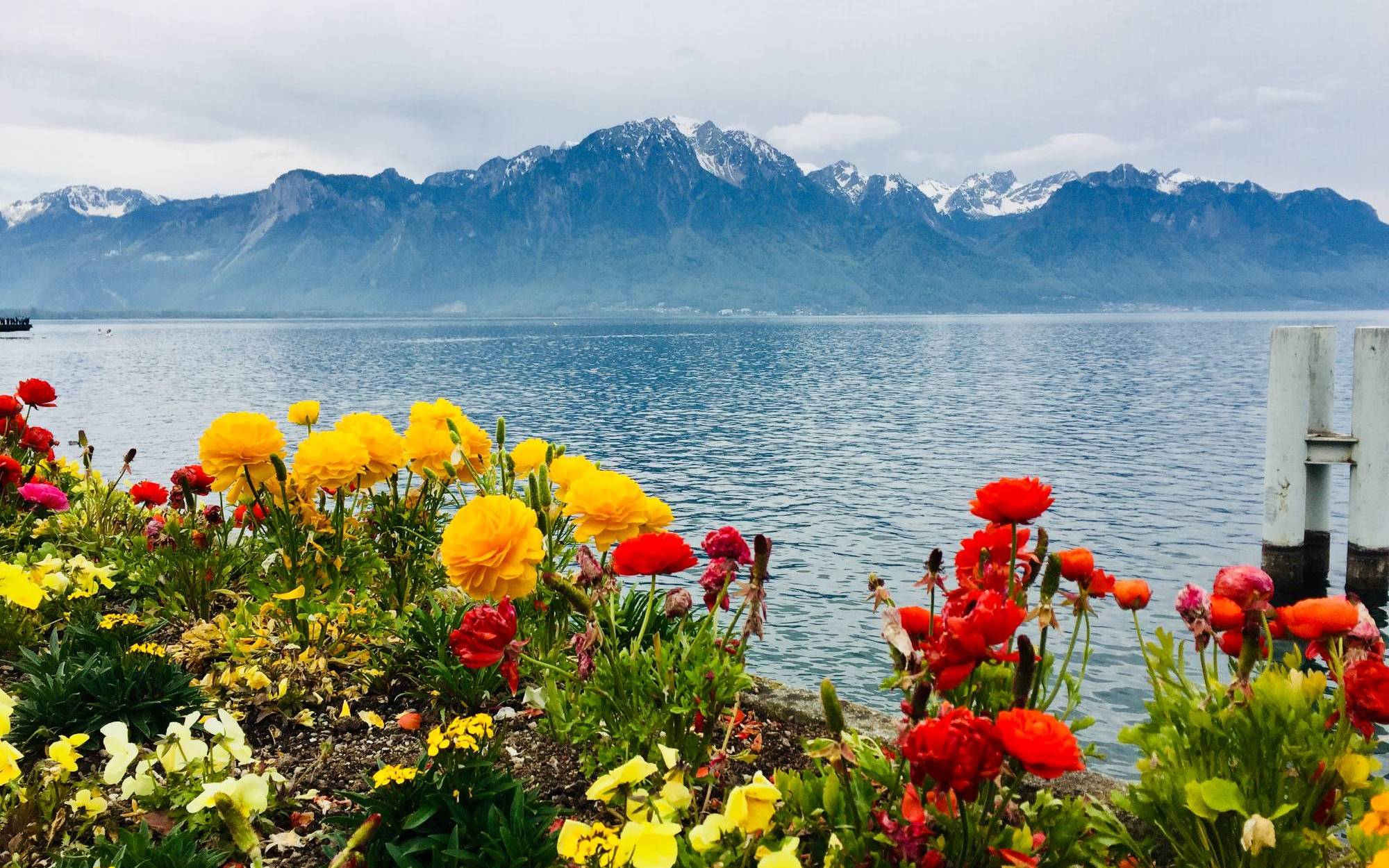 Category: Natural or Manmade Beauty - First Place / Category: Natural or Manmade Beauty - First Place "See the Touch of Winter's Snow in Montreux"
Rachel Schleier
Switzerland