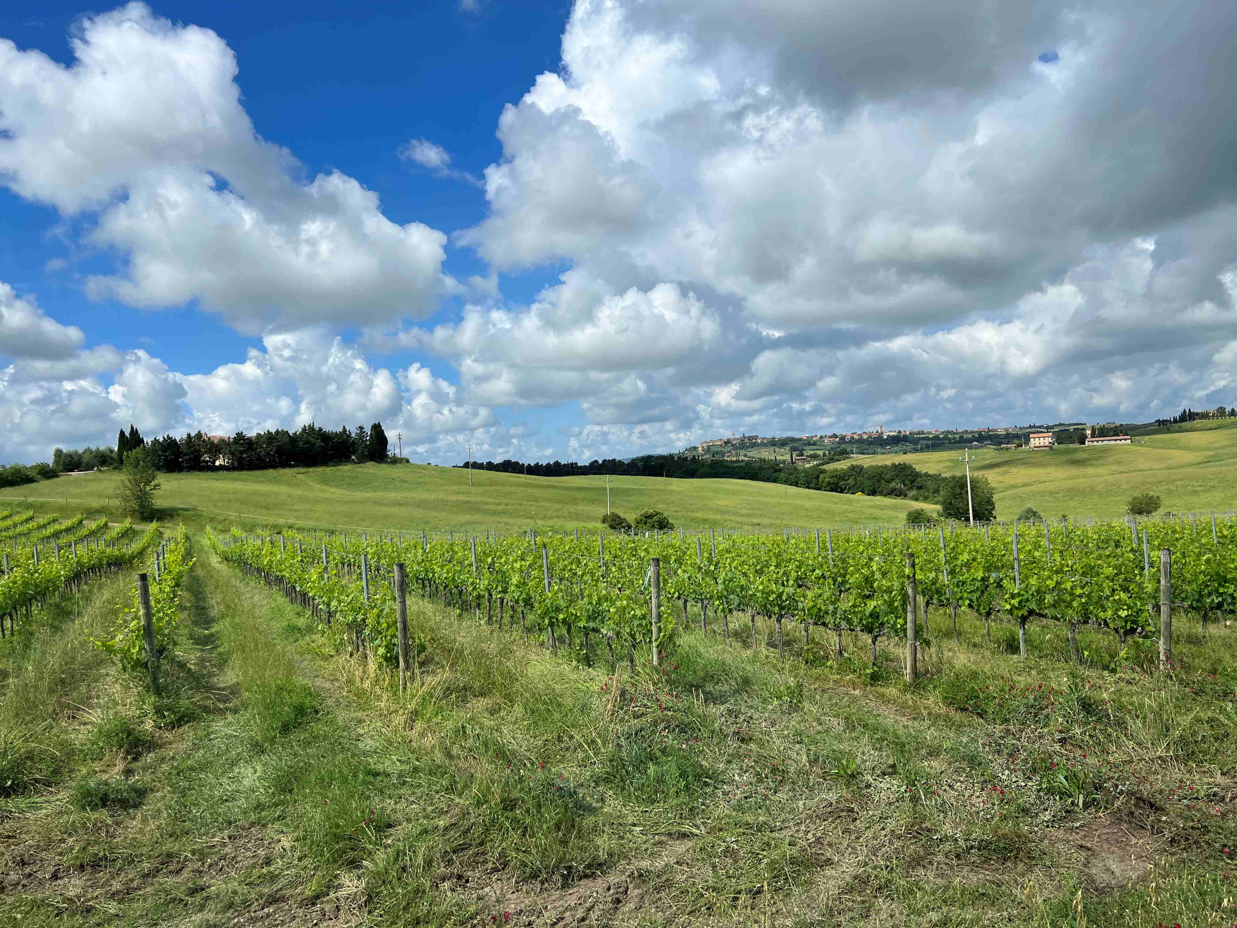 Montepulciano, Italy / 