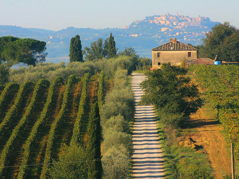 Montepulciano, Italy / 