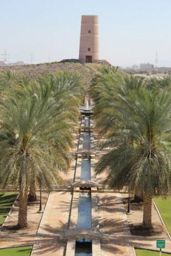 / The Falaj and traditional landscape at Sultan Qaboos University