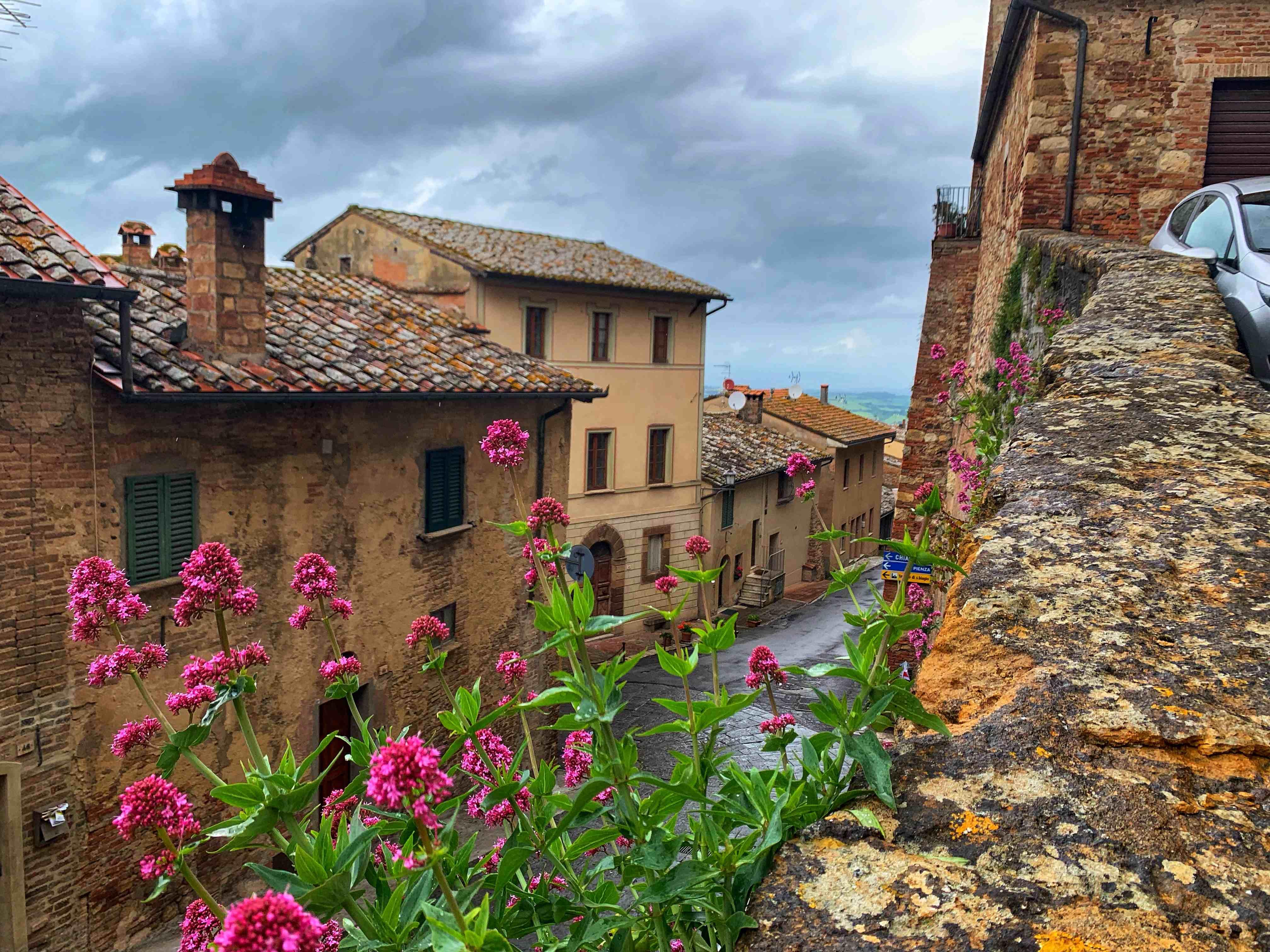  / Flowers on a balcony in Montepulciano