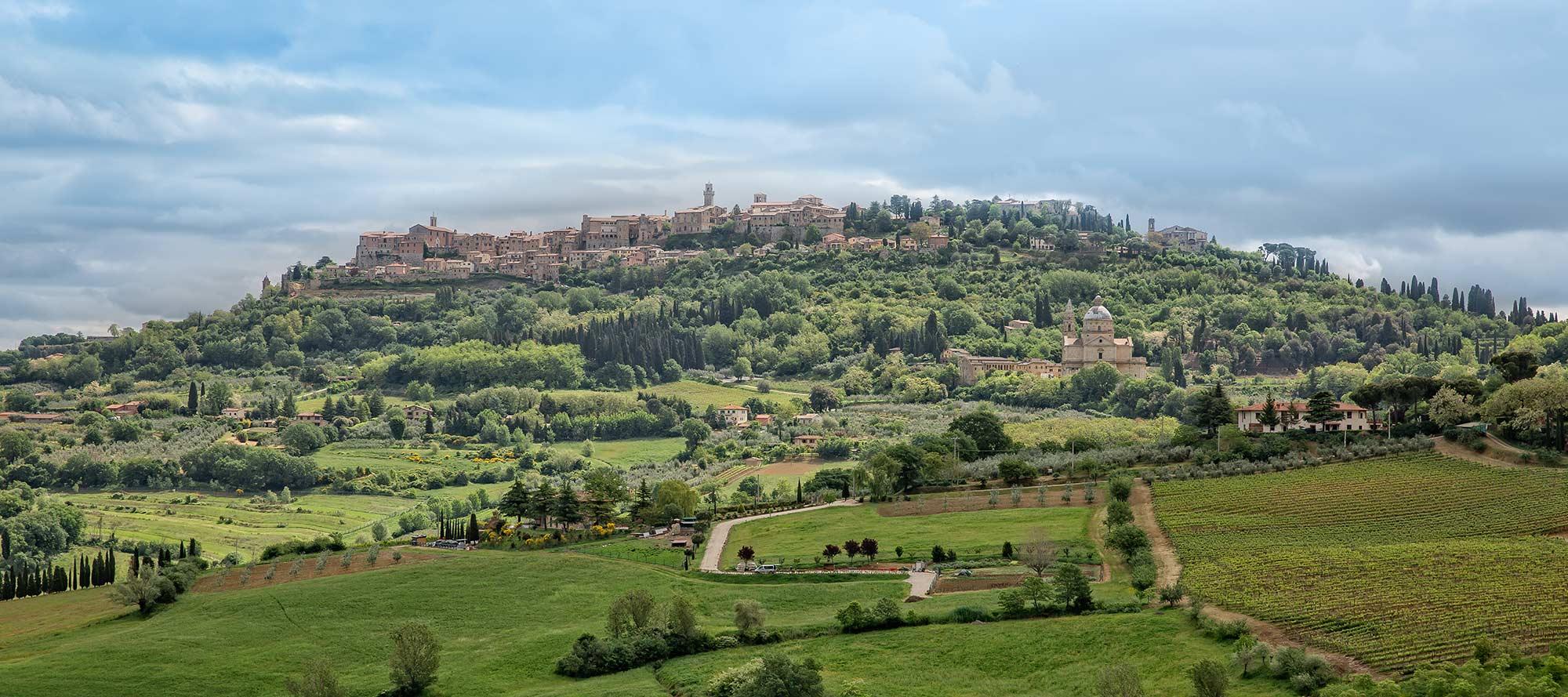  / Overview of the Montepulciano