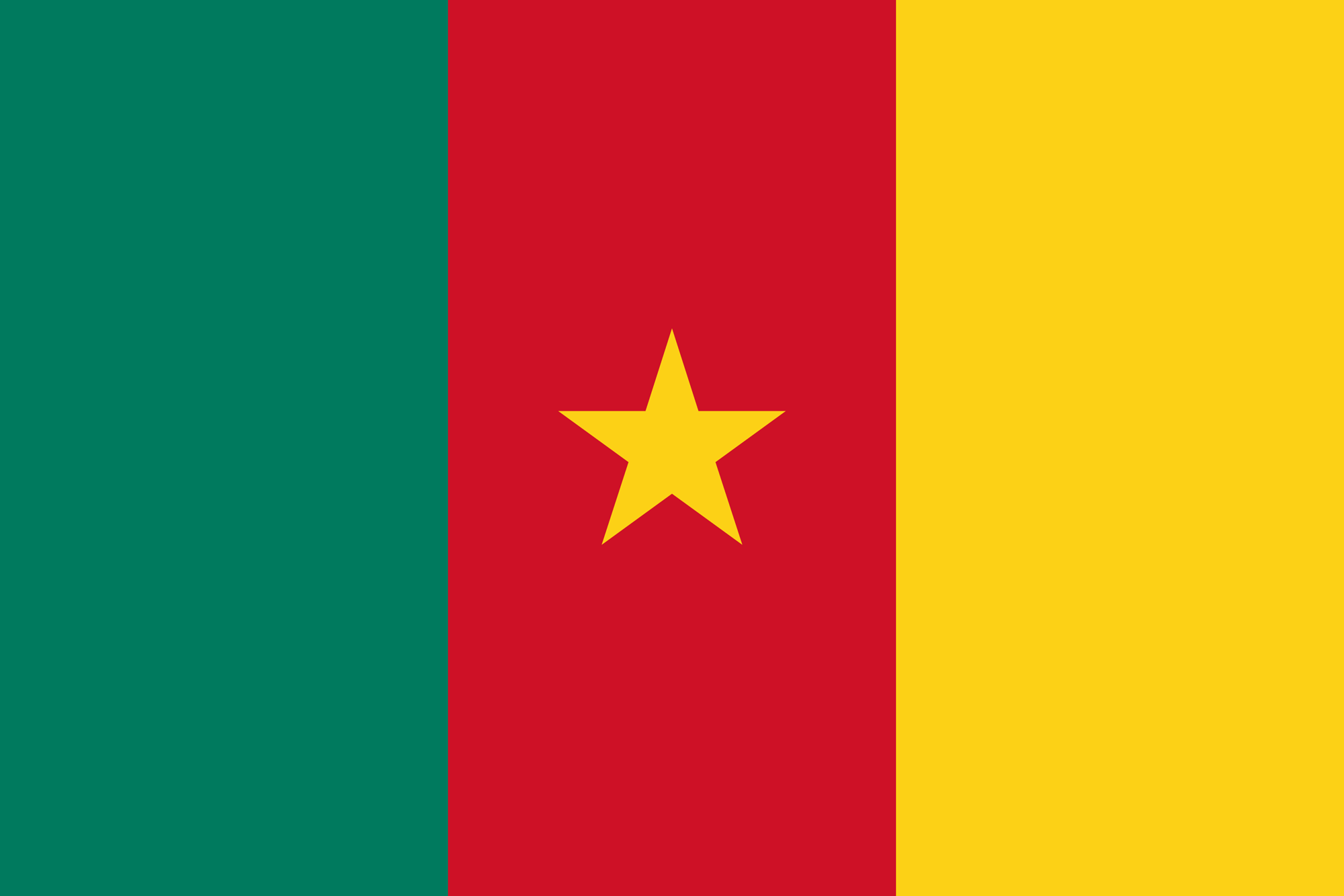 Cameroon flag