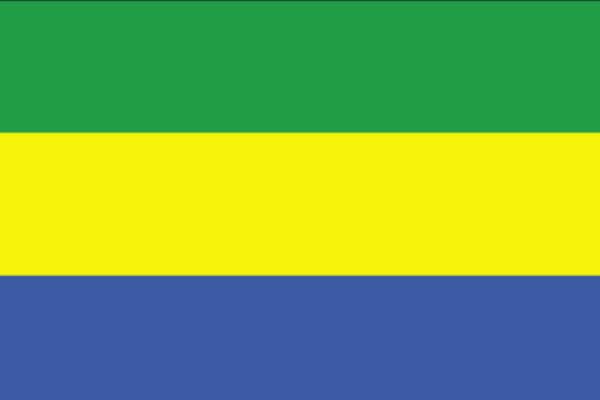 gabon flag