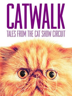catwalk