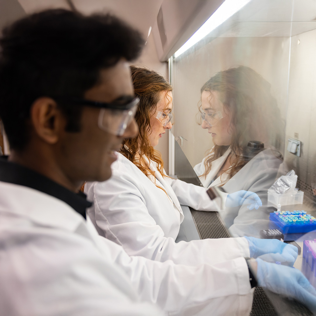 Two scientific researchers in lab coats analyzing samples in a laboratory.