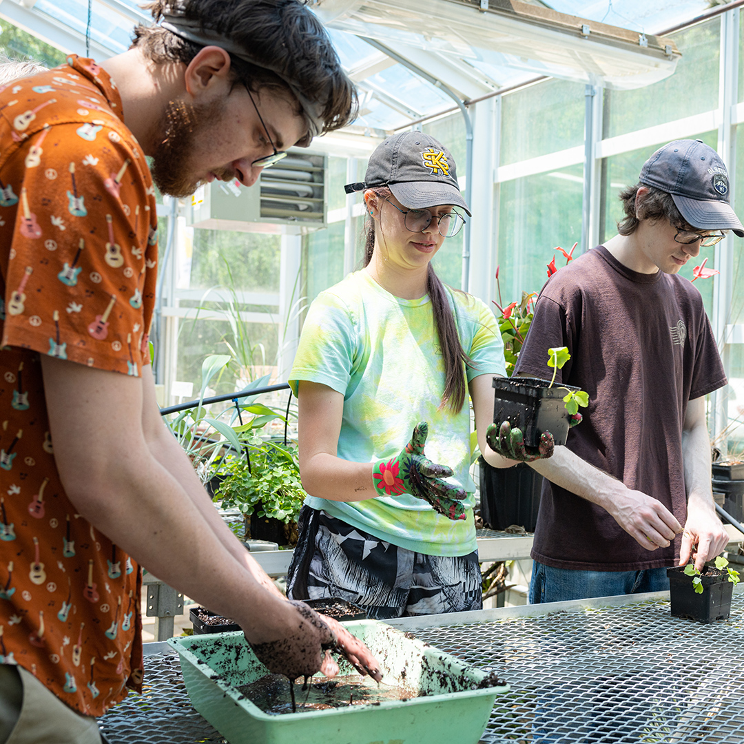Students work together in a greenhouse, preparing soil and planting seedlings at a workstation surrounded by sunlight and plants.