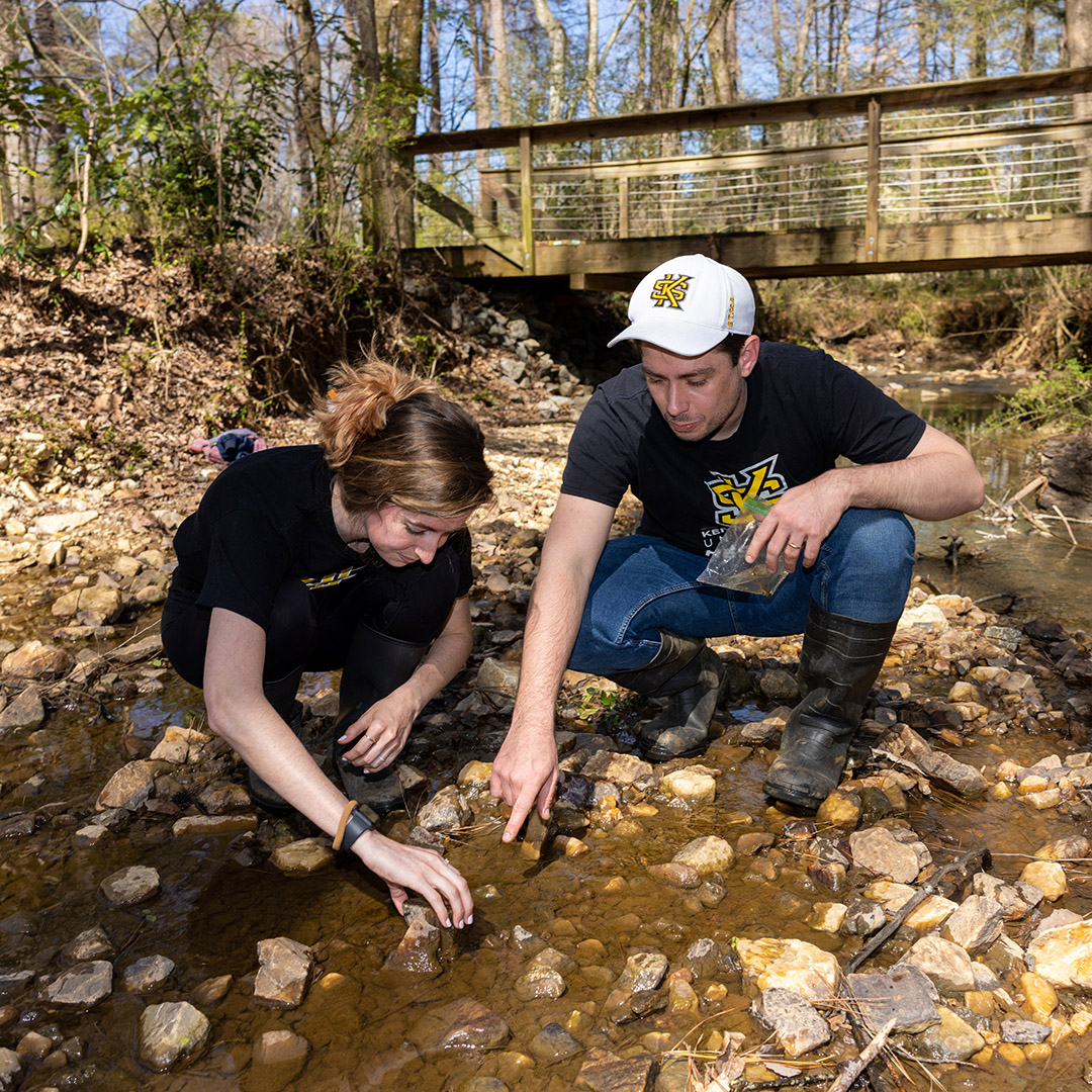 Field researchers examine soil and water samples in a shallow stream near a wooded trail and footbridge during an outdoor environmental study.