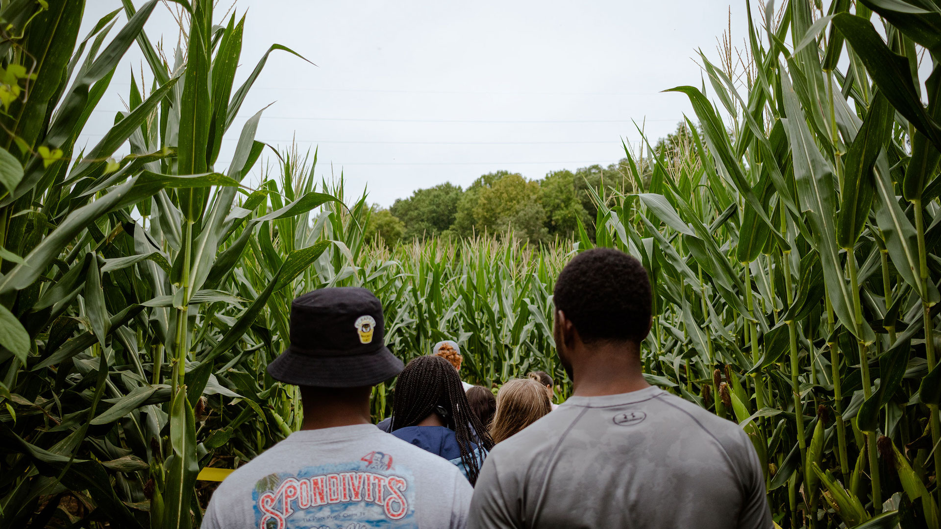  / SODI LLV students navigating a corn maze