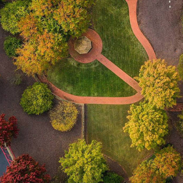 Fall trees on the Kennesaw Campus