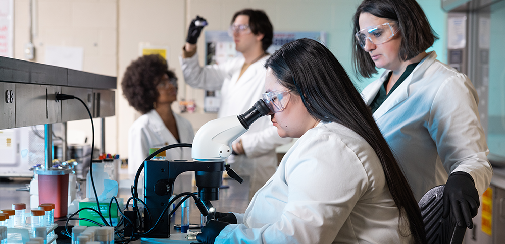 Four scientists in lab coats work in a laboratory. One focuses intently on a microscope, while others observe and engage in discussion, creating a collaborative atmosphere.