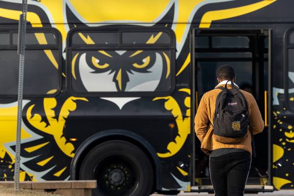 Big Owl Bus