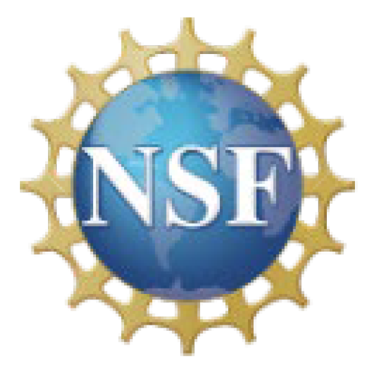 nsf logo.