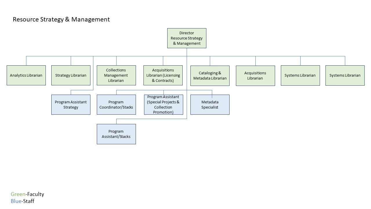Organizational chart for the KSU libraries Resource Strategy and Management department