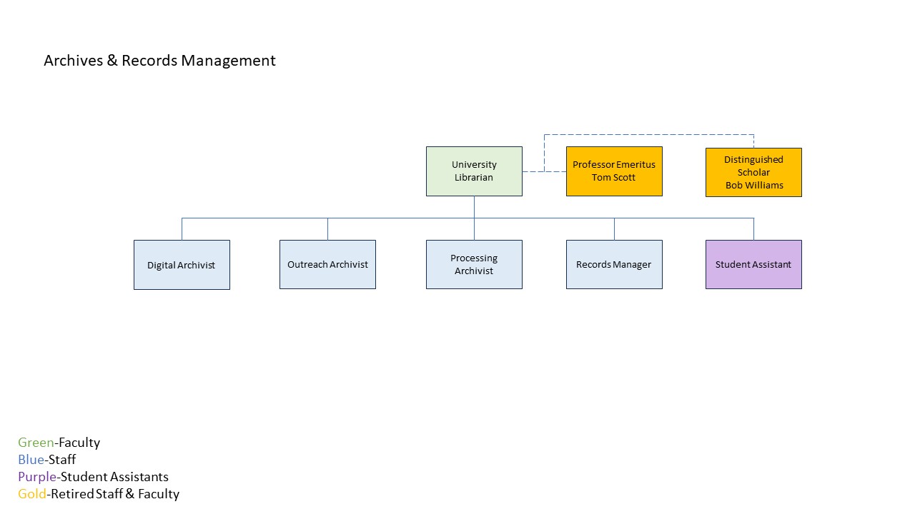 Organizational chart for the KSU libraries Archives and Records Management department