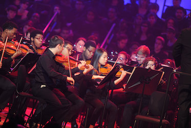 Violins at KSU