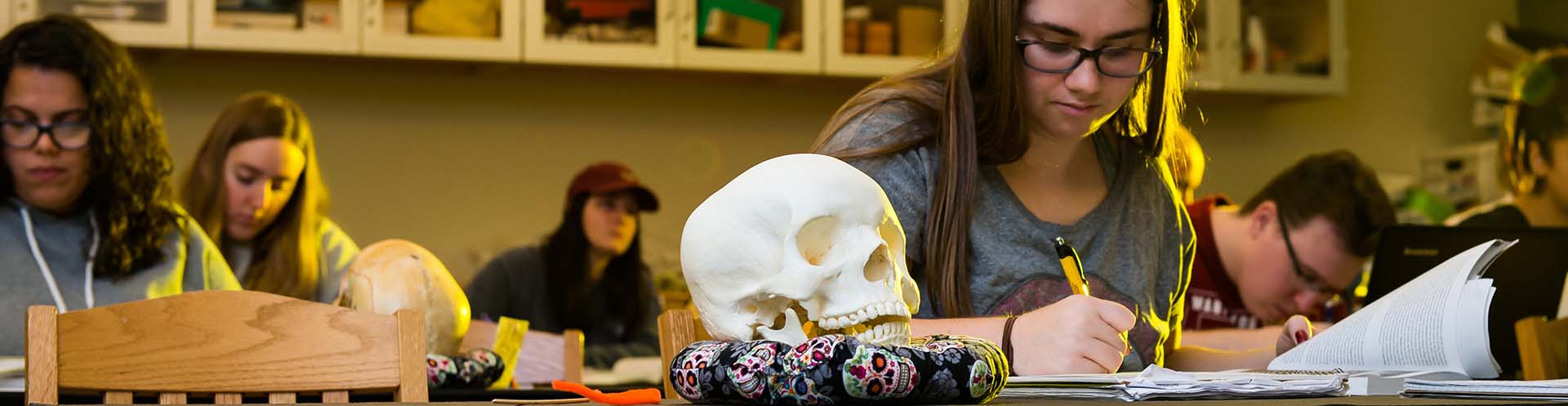 Kennesaw State Human Skeleton Class