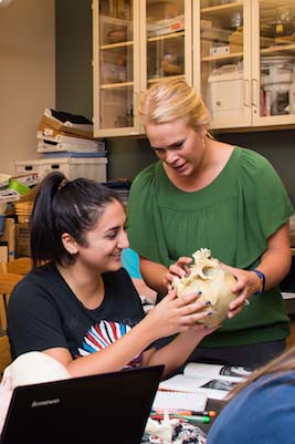 Kennesaw State Human Skeleton Class