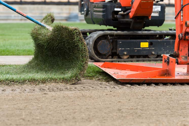 Fifth Third Bank Stadium turf