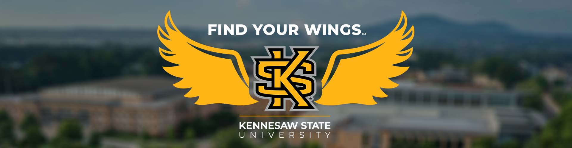 Find your wings logo