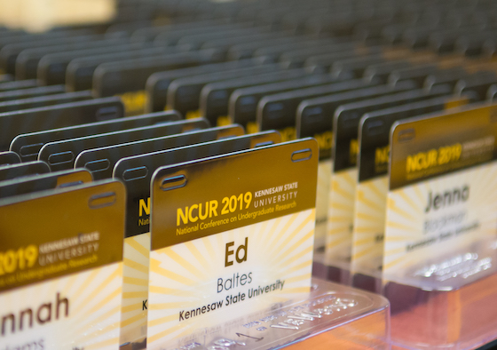 NCUR 2019