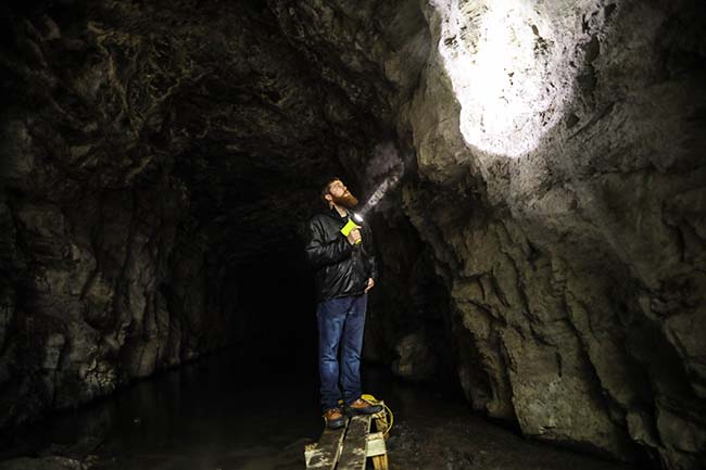 Bats research